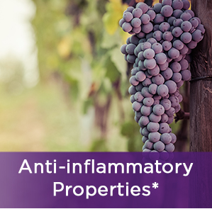 Research:  Resveratrol Stimulates Glutamate & Brain Function