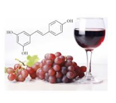 Resveratrol and red wine, healthy heart and longevity
