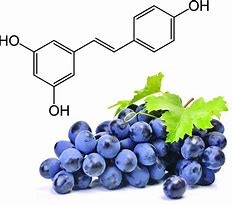 Why Our Resveratrol is Scientifically Better For You